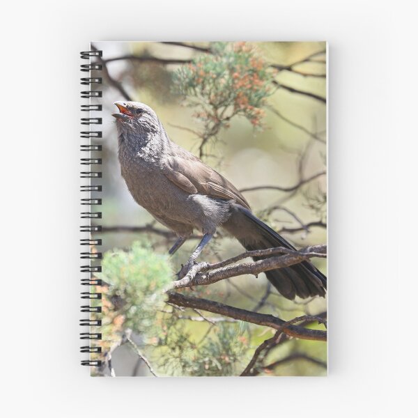 Item preview, Apostlebird - Flinders Ranges SA (754) designed and sold by Emmy Silvius.