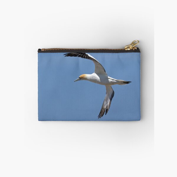 Item preview, Australasian Gannet - Portland VIC (3859) designed and sold by Emmy Silvius.