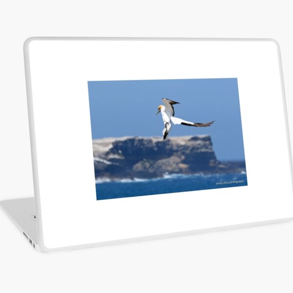 Australasian Gannet - Portland VIC (3881) Laptop Skin