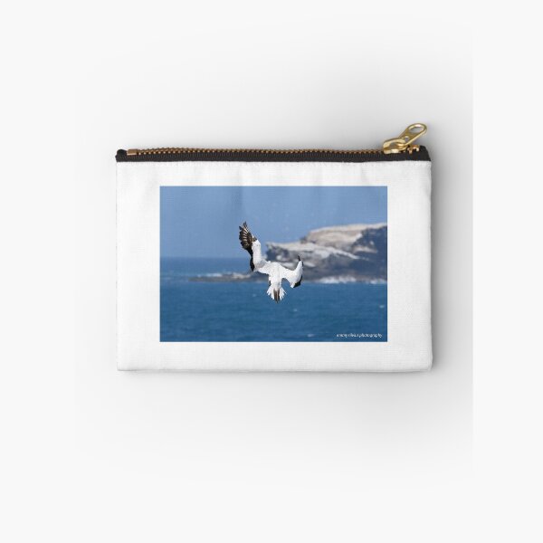 Item preview, Australasian Gannet - Portland VIC (3882) designed and sold by Emmy Silvius.