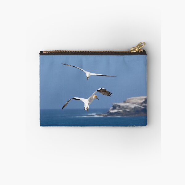 Item preview, Australasian Gannets - Portland VIC (3956) designed and sold by Emmy Silvius.
