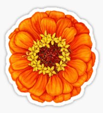 Zinnia in Orange Sticker