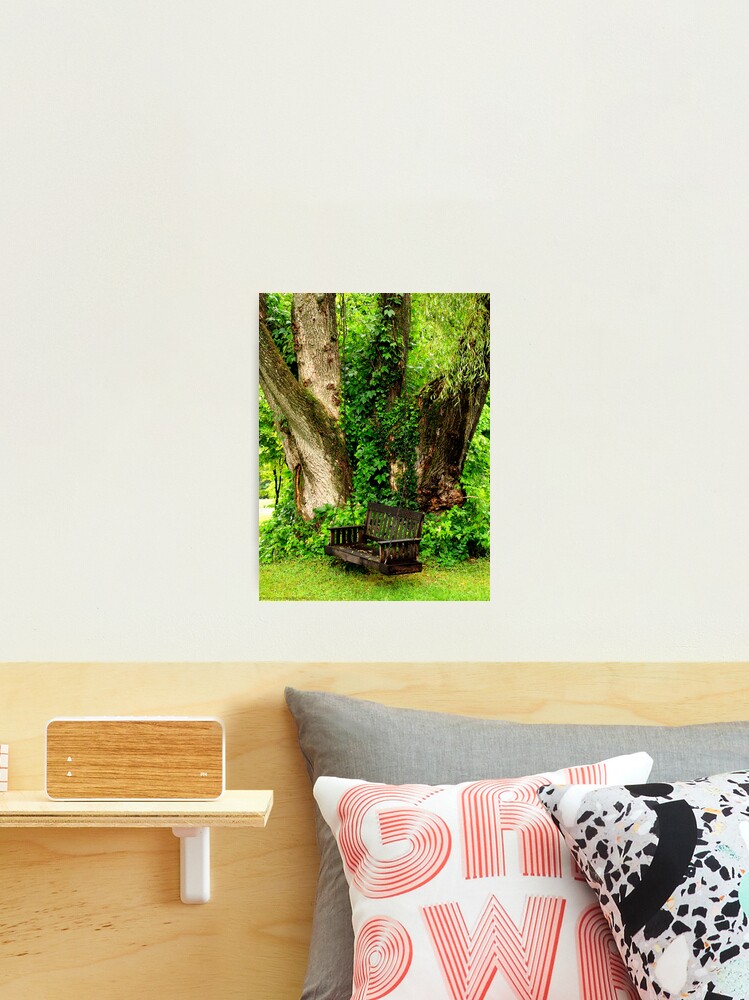 Thumbnail 2 of 3, Photographic Print, Country Sitdown designed and sold by alvinsan9.