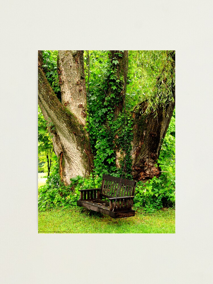 Thumbnail 1 of 3, Photographic Print, Country Sitdown designed and sold by alvinsan9.