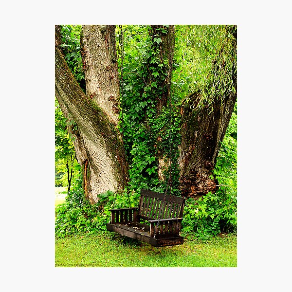 Photographic Print