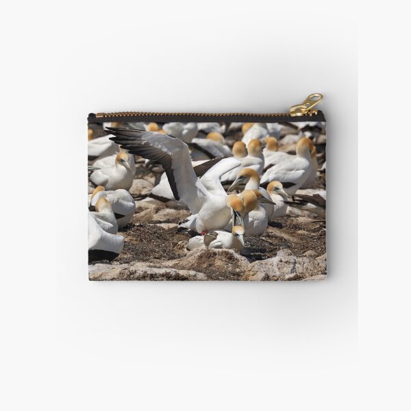 Item preview, Australasian Gannets - Portland VIC (3802) designed and sold by Emmy Silvius.
