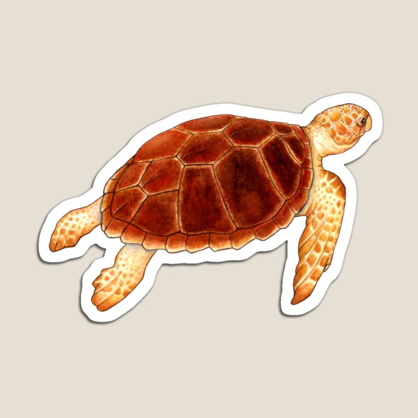 Loggerhead Sea Turtle Magnet