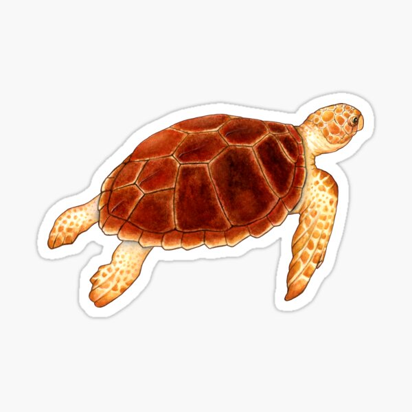 Item preview, Loggerhead Sea Turtle designed and sold by Suzannah Alexander.