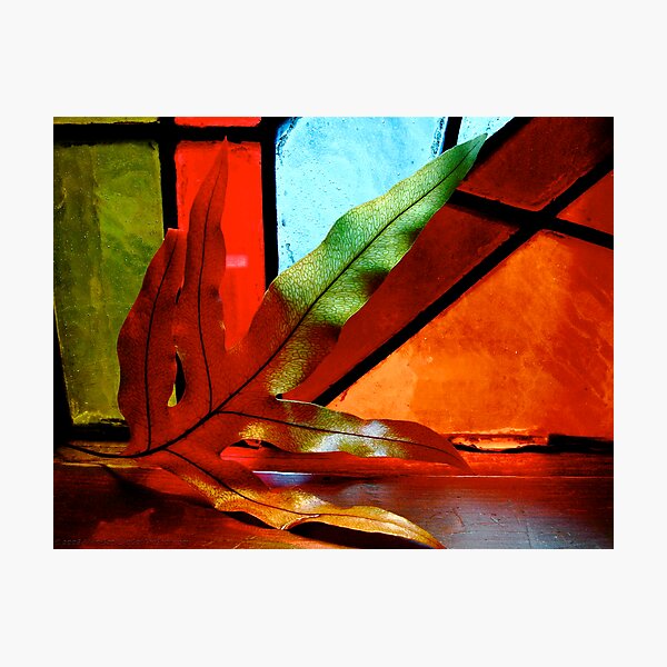 Leaf Stained Photographic Print