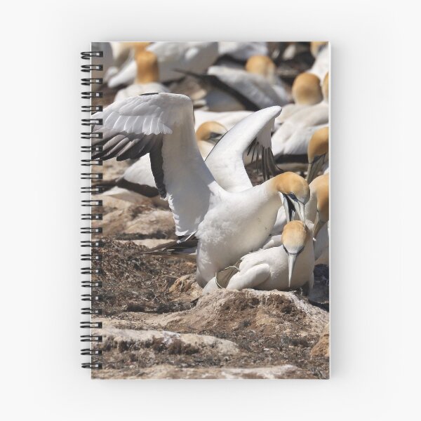 Item preview, Australasian Gannets - Portland VIC (3810) designed and sold by Emmy Silvius.