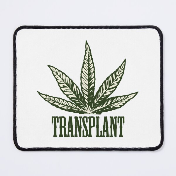 Item preview, colorado transplant Leaf Sticker designed and sold by JonahStewart.