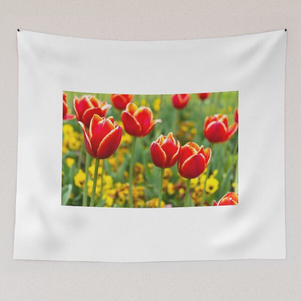 Item preview, Flower lolly pops - Paris, France designed and sold by Norman Repacholi | Keystone Photography.