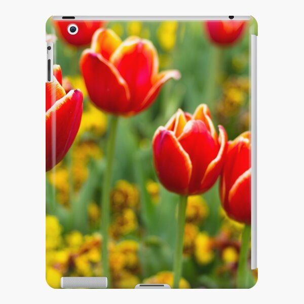 Flower lolly pops - Paris, France iPad Snap Case