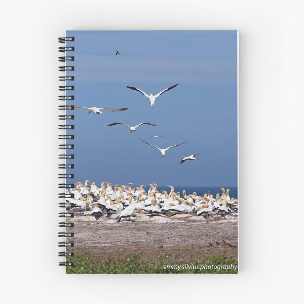 Item preview, Australasian Gannets - Portland VIC (4055) designed and sold by Emmy Silvius.