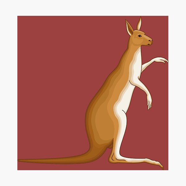 Kangaroo Cartoon Land Photographic Print