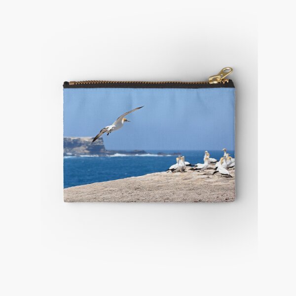 Item preview, Australasian Gannets - Portland VIC (4062) designed and sold by Emmy Silvius.
