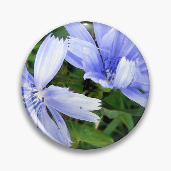 Item preview, Pretty in Blue designed and sold by Frankie Cat Photography.
