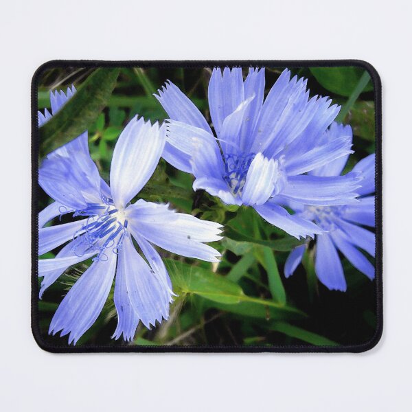 Item preview, Pretty in Blue designed and sold by Frankie Cat Photography.