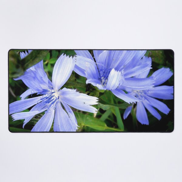Item preview, Pretty in Blue designed and sold by Frankie Cat Photography.