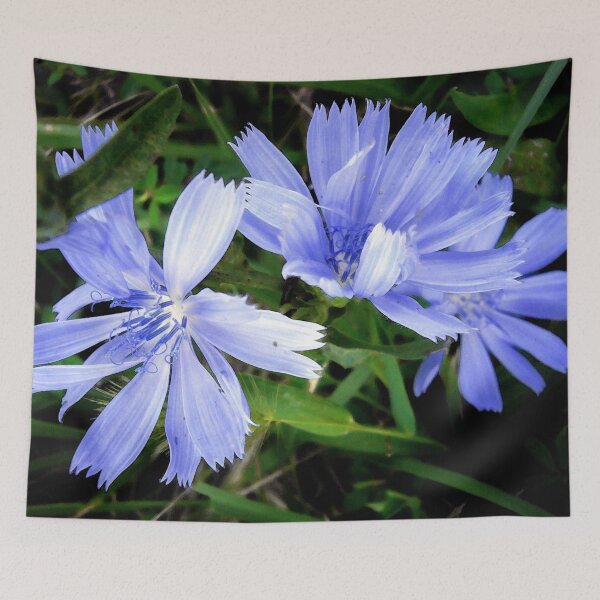 Item preview, Pretty in Blue designed and sold by Frankie Cat Photography.