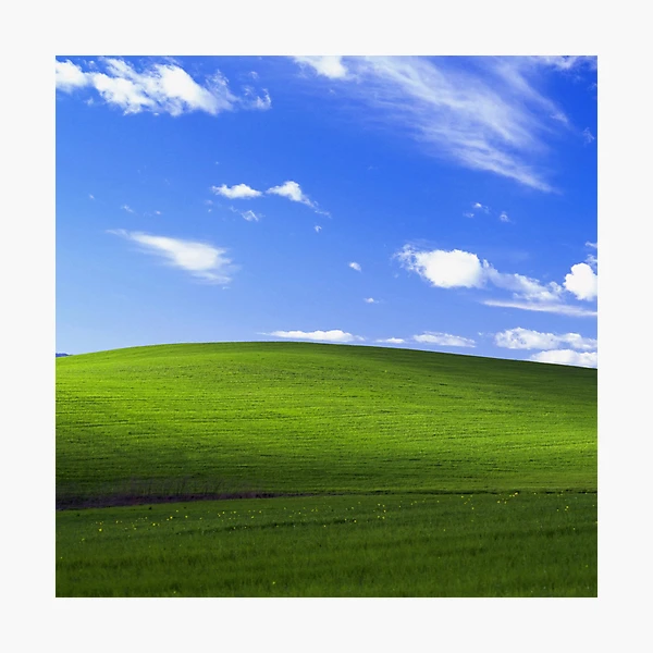 pp,504x498-pad,600x600,f8f8f8.webp