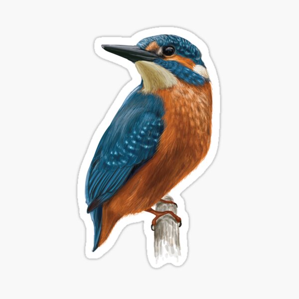 Reproduced Vintage Kingfisher Fishing Line Box Label Canvas Print 