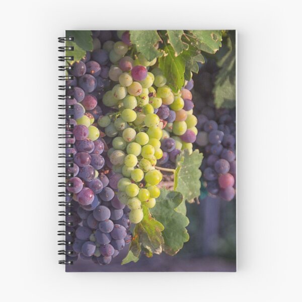 Item preview, July's Grapes designed and sold by Diane Trimble.