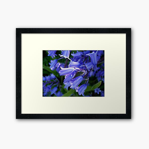 "Blue Belles" Framed Art Print