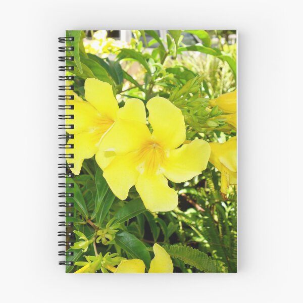 Item preview, Lanai City Study 1  designed and sold by Robert Meyers-Lussier.