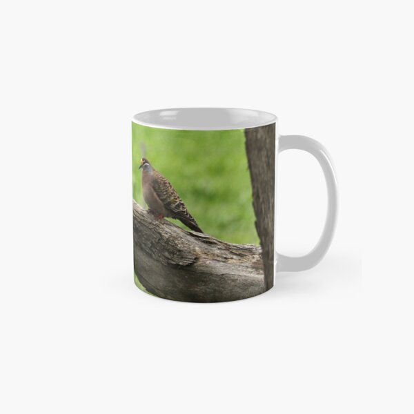 Common Bronzewings - Little Desert NP VIC (559) Classic Mug