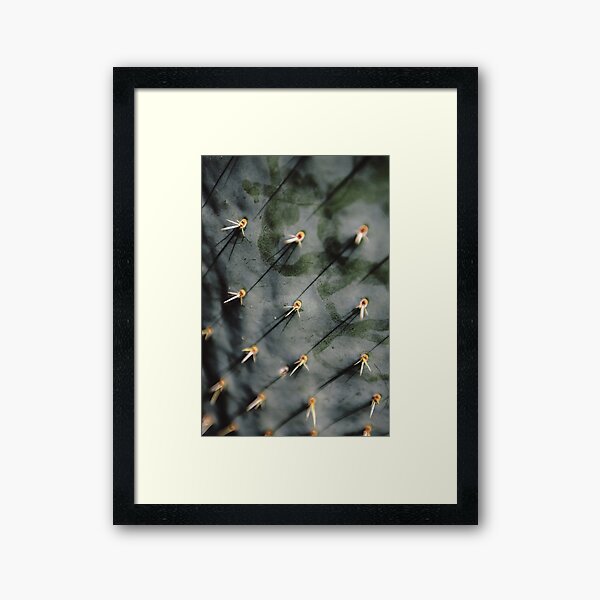 c r o a t i a n . c a c t u s Framed Art Print
