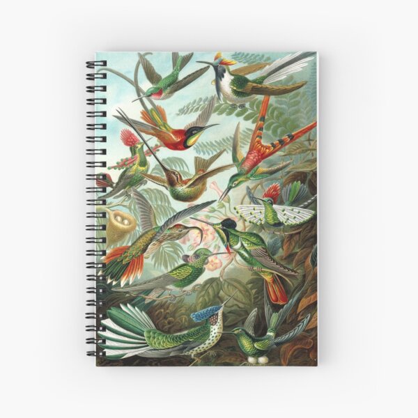 Item preview, Hummingbirds designed and sold by rapplatt.
