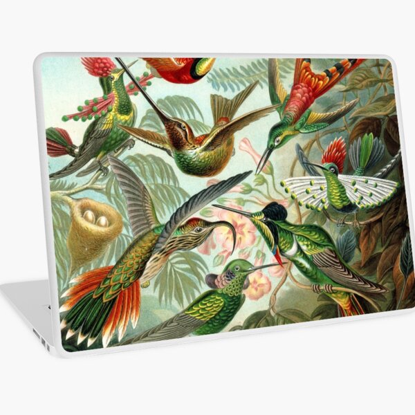 Hummingbirds Laptop Skin