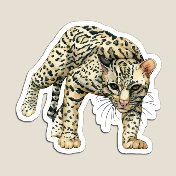 Ocelot Magnet