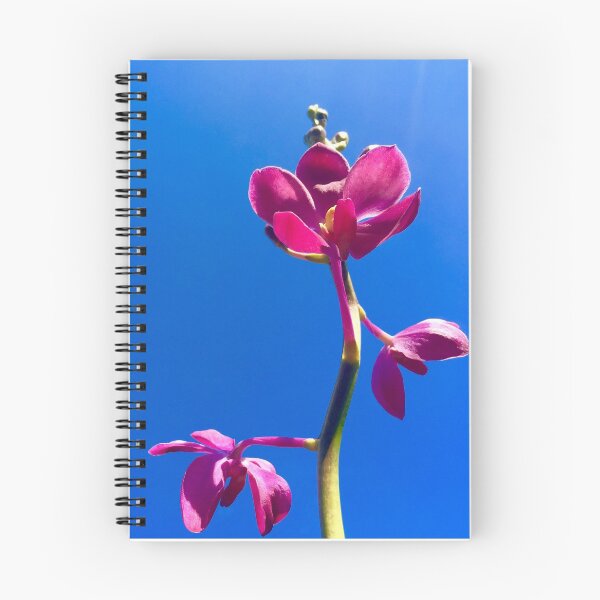 Artikelvorschau, pinke Blume entworfen und verkauft von Ari-A.
