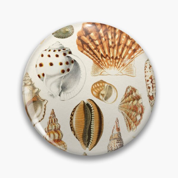 Item preview, Seashells Collection designed and sold by galdesign.