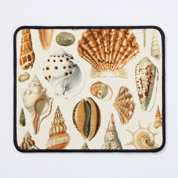 Item preview, Seashells Collection designed and sold by galdesign.