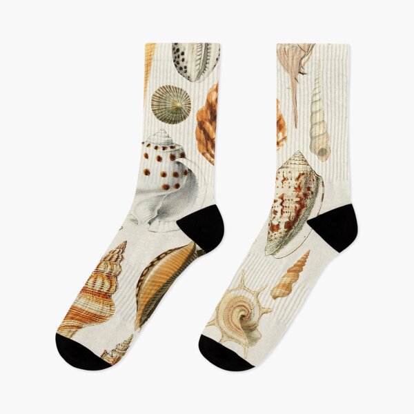 Item preview, Seashells Collection designed and sold by galdesign.