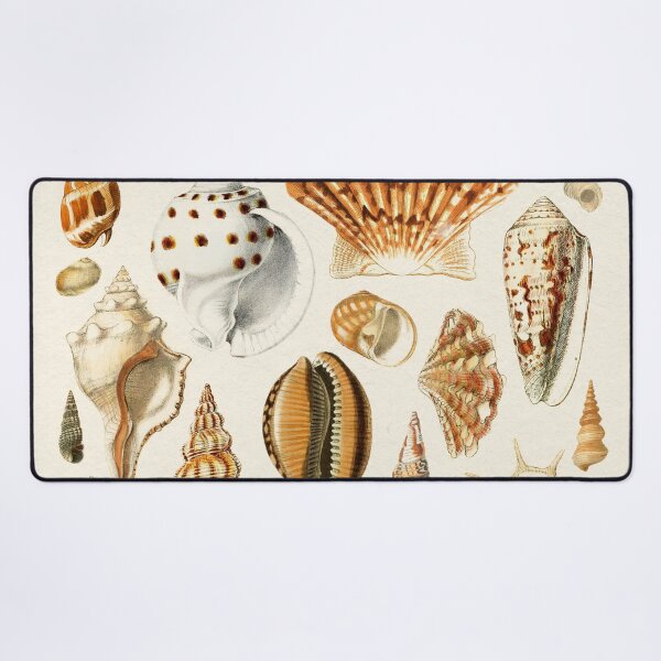 Item preview, Seashells Collection designed and sold by galdesign.