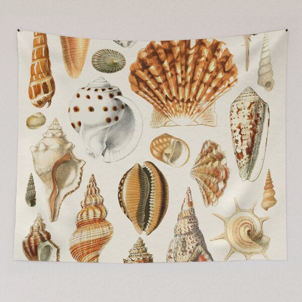 Item preview, Seashells Collection designed and sold by galdesign.