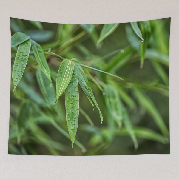 Item preview, Fresh Green Zen Bamboo Leaf designed and sold by artsandsoul.