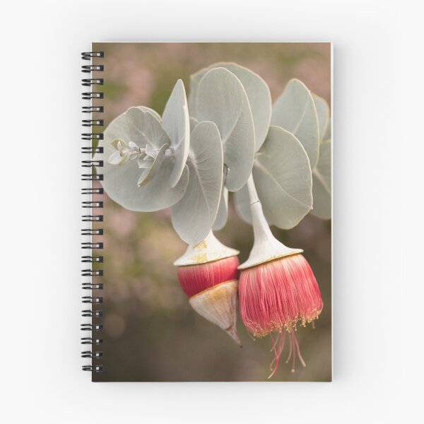 Item preview, Side by side Rose Mallee designed and sold by SallyB.Photography.