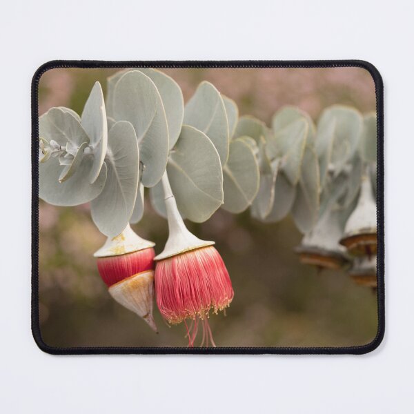 Item preview, Side by side Rose Mallee designed and sold by SallyB.Photography.