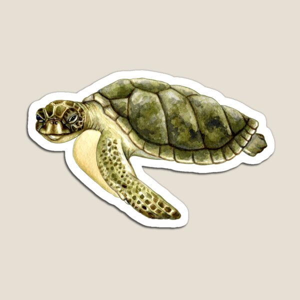 Kemp's Ridley Sea Turtle Magnet