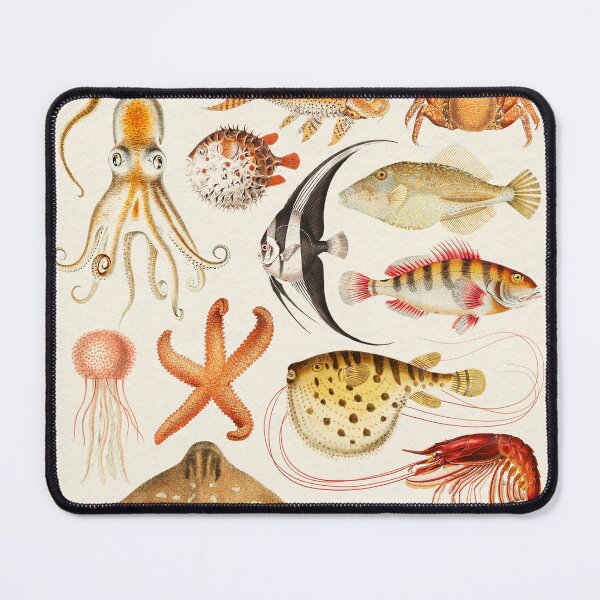 Item preview, Sea Life Collection designed and sold by galdesign.
