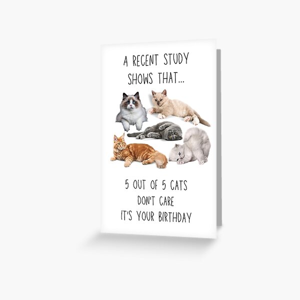 Crazy Cat Lady Gifts – Off the Wagon Shop