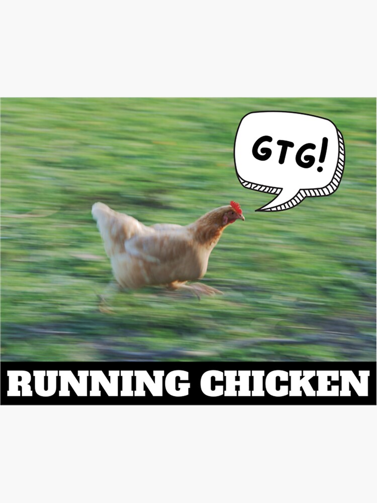 "GTG! Funny Running Chicken Meme Run Chicken Run " Sticker for Sale by