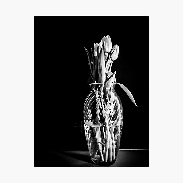 Flowers in a vase 2. Photograph by Nobs Norbury. Photographic Print