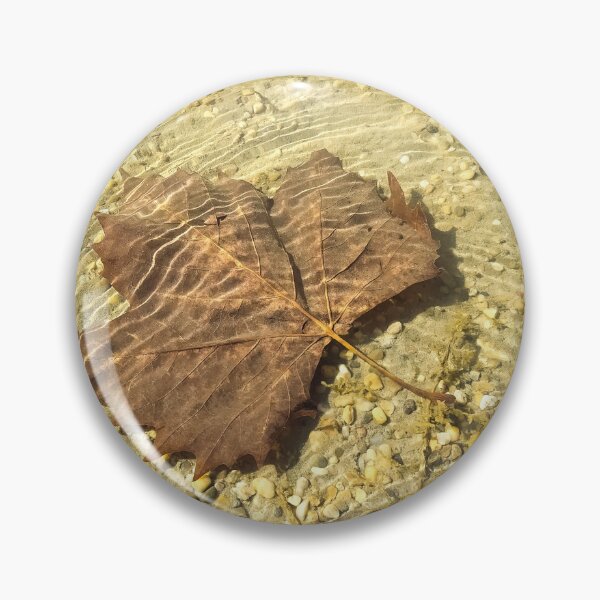 Item preview, Back to school leaf water home decor, grade school, middle school, collage designed and sold by virginiajollyh.