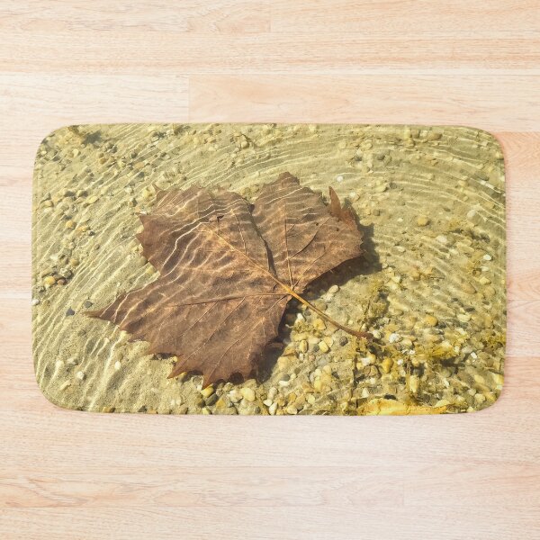 Item preview, Back to school leaf water home decor, grade school, middle school, collage designed and sold by virginiajollyh.